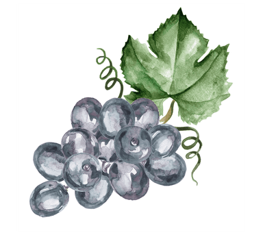 Grapes